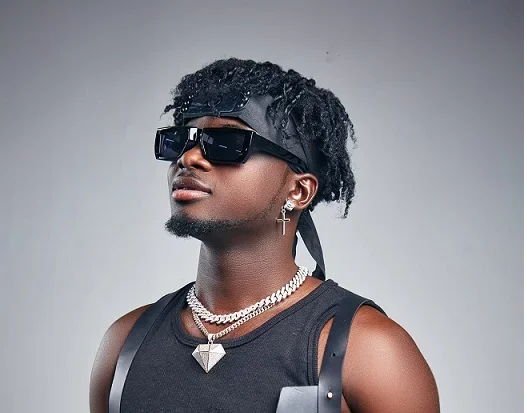 Kuami Eugene dp picture